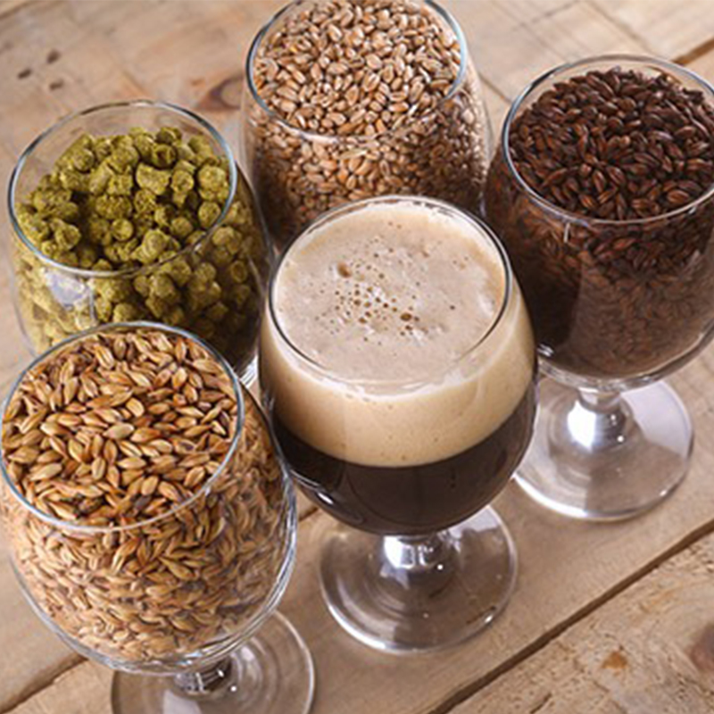 What Ingredients Are Used in Craft Beer Brewing