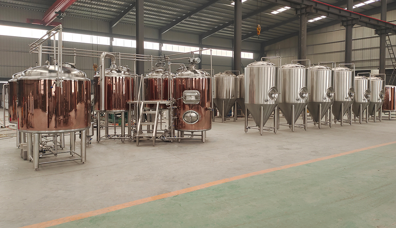 500L beer brewing equipment